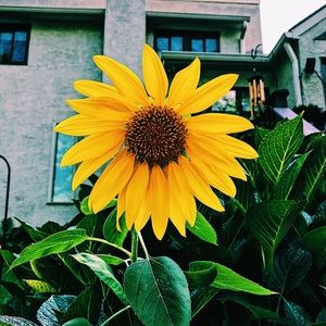 Meet your Posher, Meghan